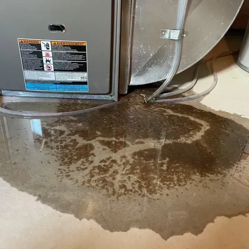 Appliance Leak Cleanup in Higginsville, MO